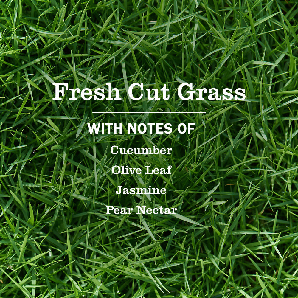 Mrs. Meyer's Fresh Cut Grass Liquid Hand Soap 3-count Bundle